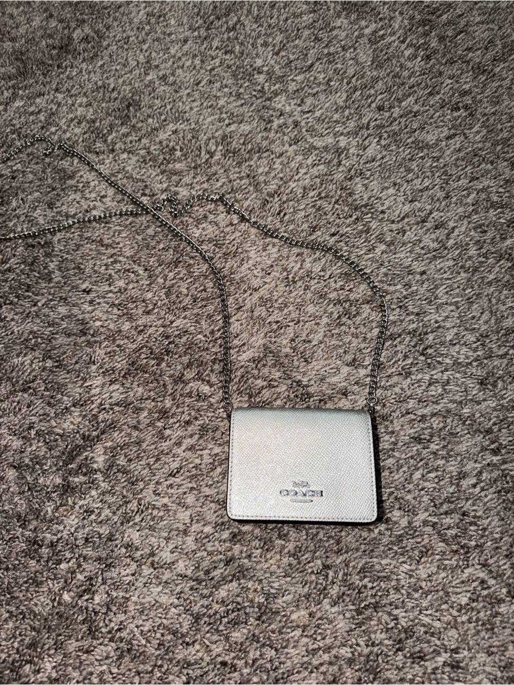 Coach Metallic Silver Crossbody Card Case